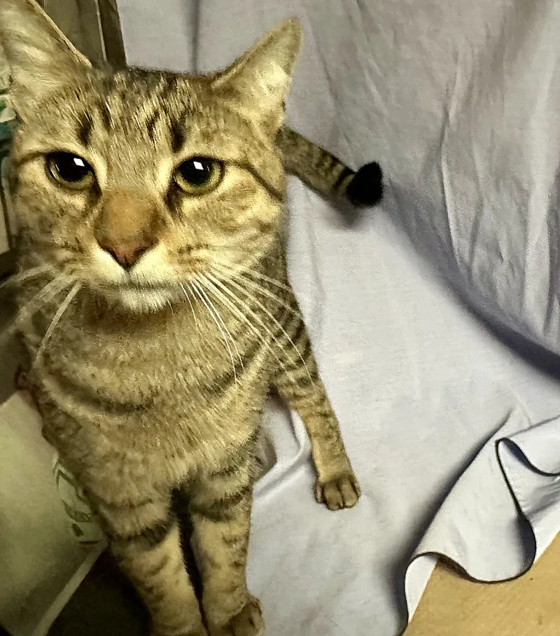 Declan N.  Big thumbnail 4