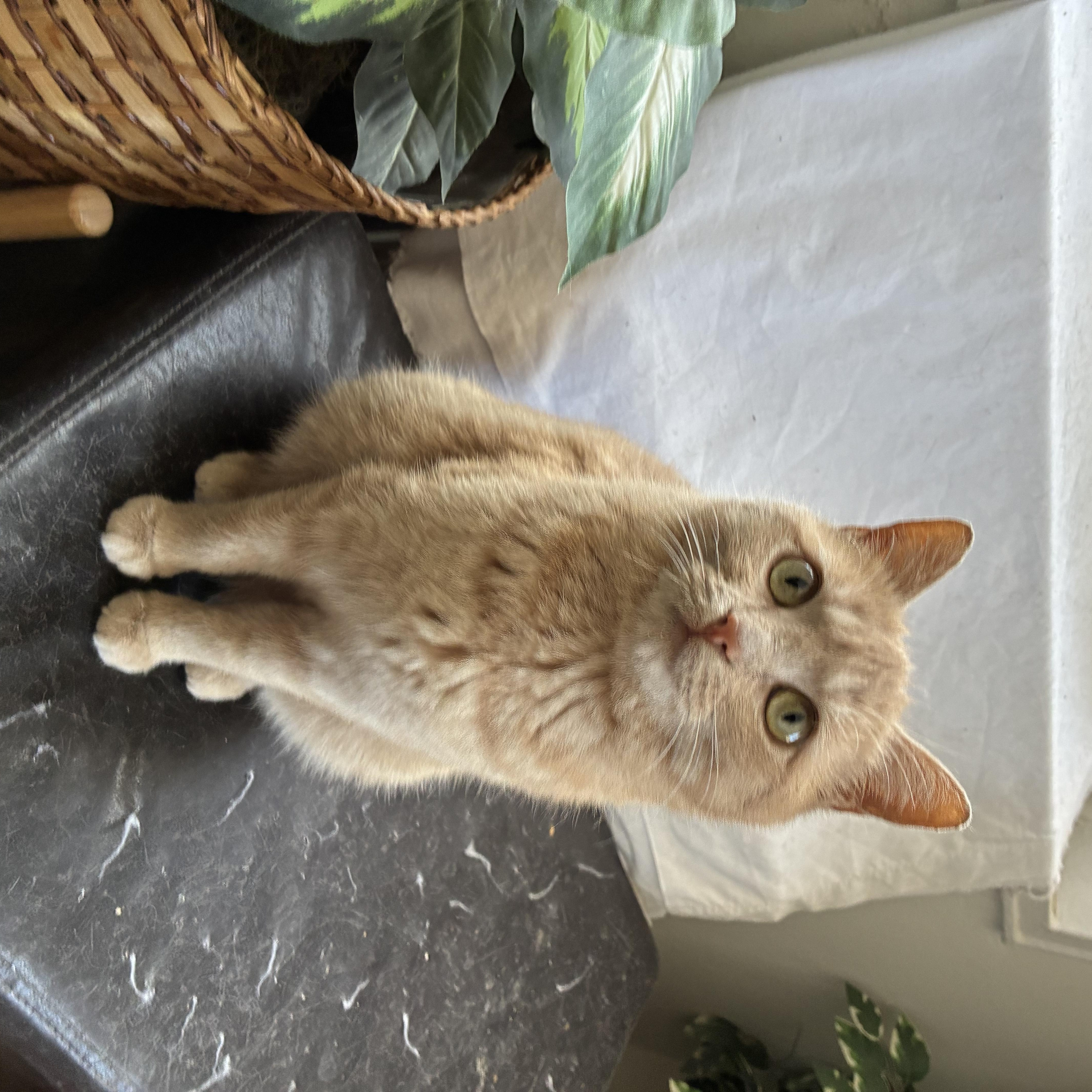 Eden N – Sweet thumbnail 4