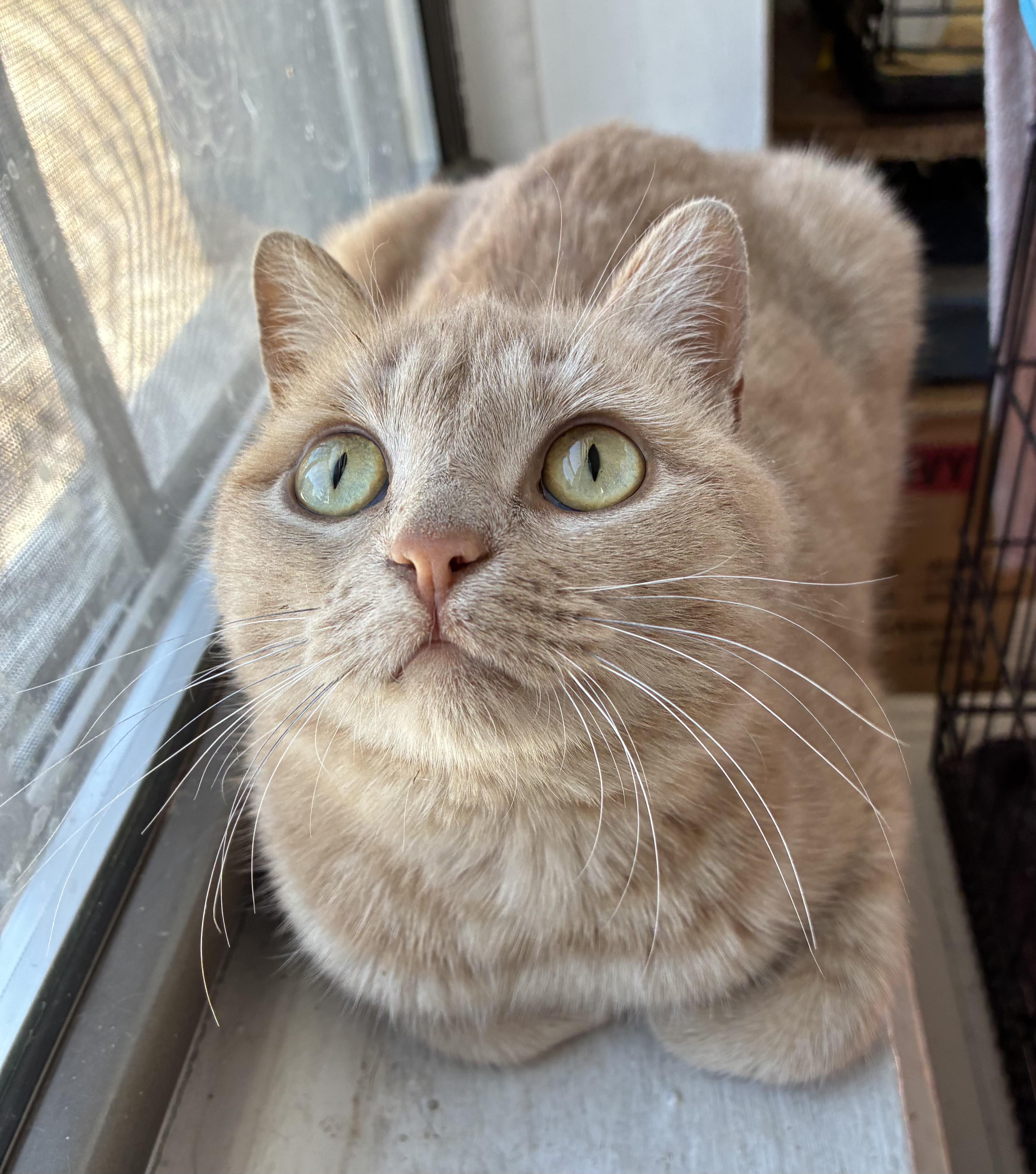 Eden N – Sweet thumbnail 5