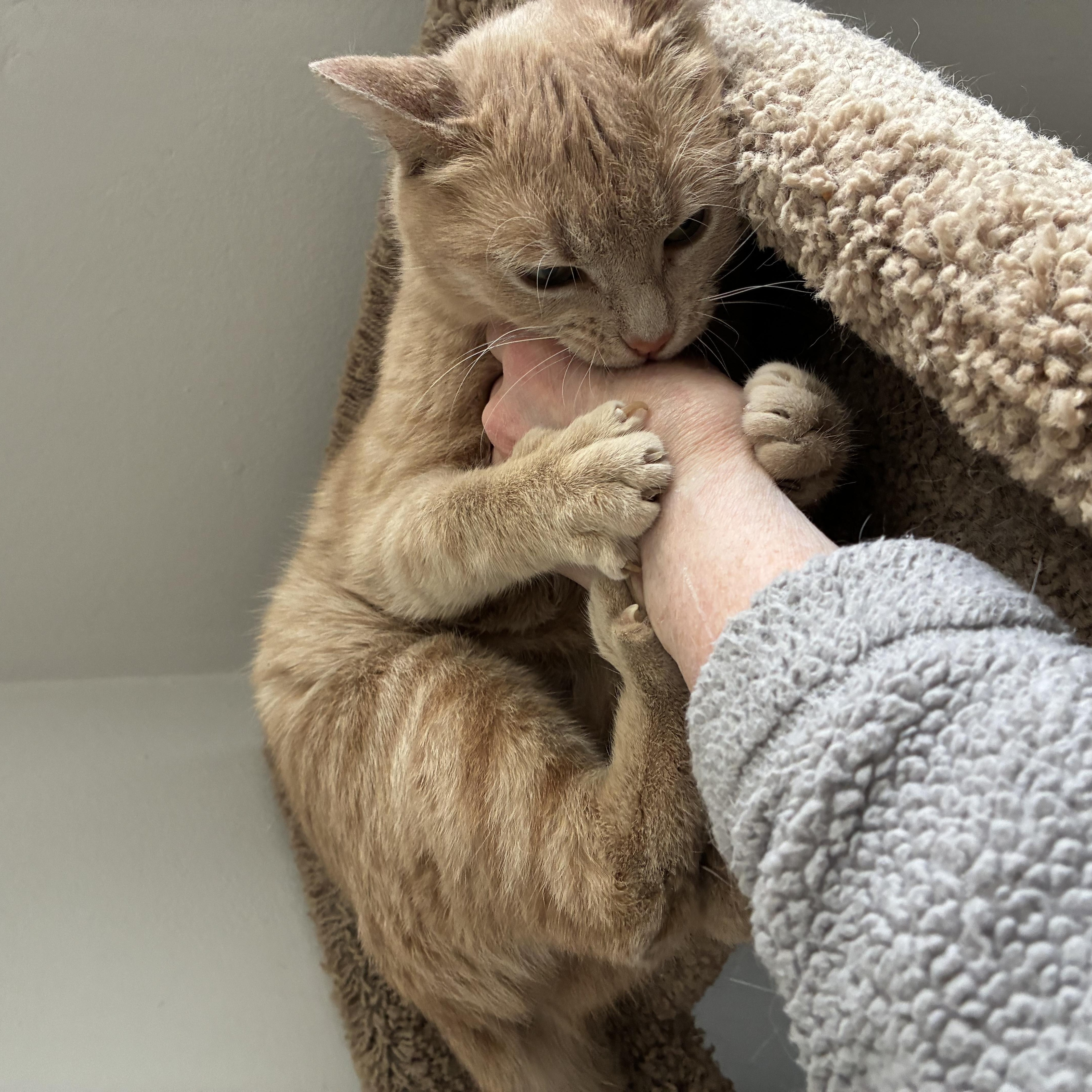 Eden N – Sweet thumbnail 6