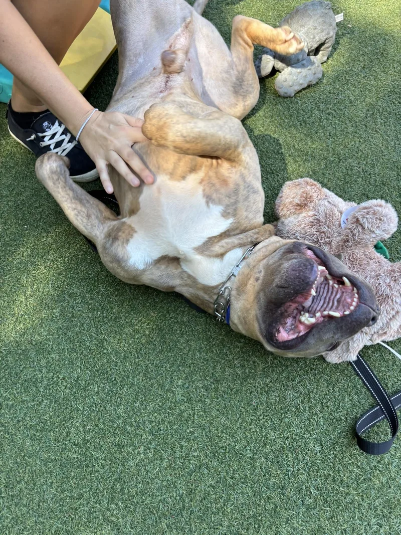 Espresso thumbnail 2