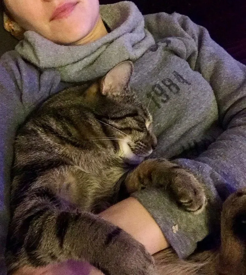 Henry And Onyx thumbnail 2