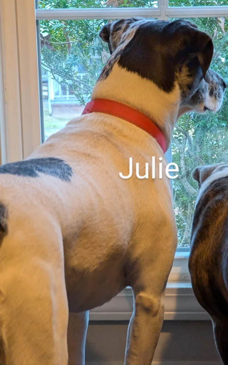Julie thumbnail 2