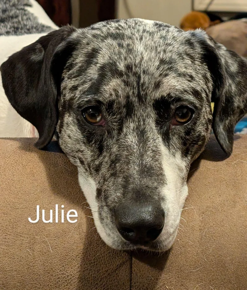 Julie