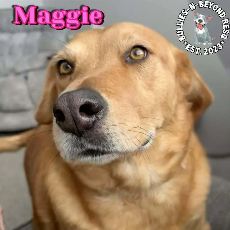 Maggie thumbnail 2