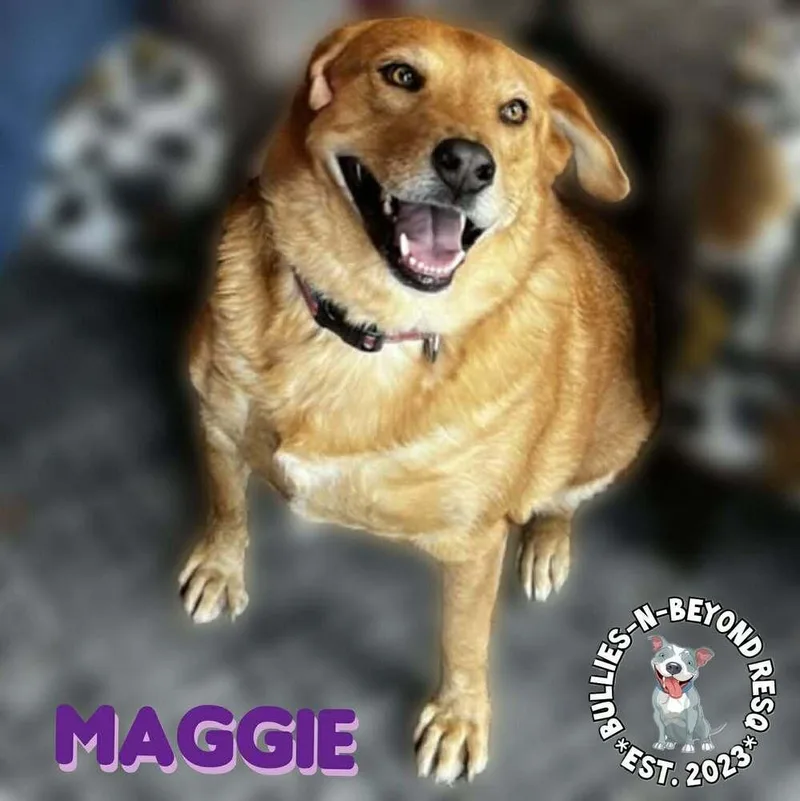 Maggie thumbnail 5