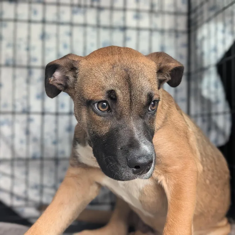 Mayweather thumbnail 2