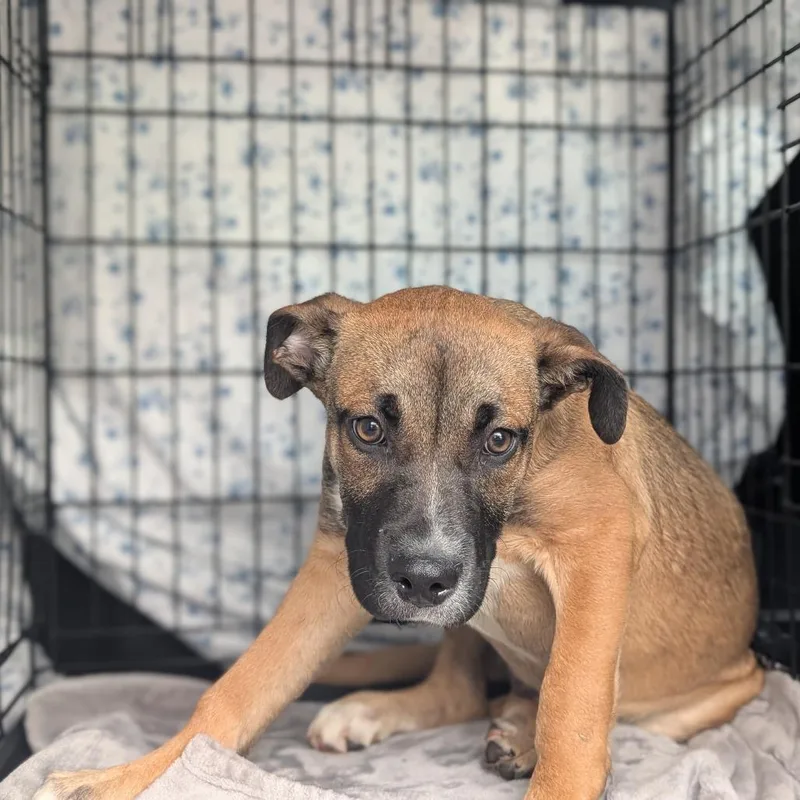 Mayweather thumbnail 5