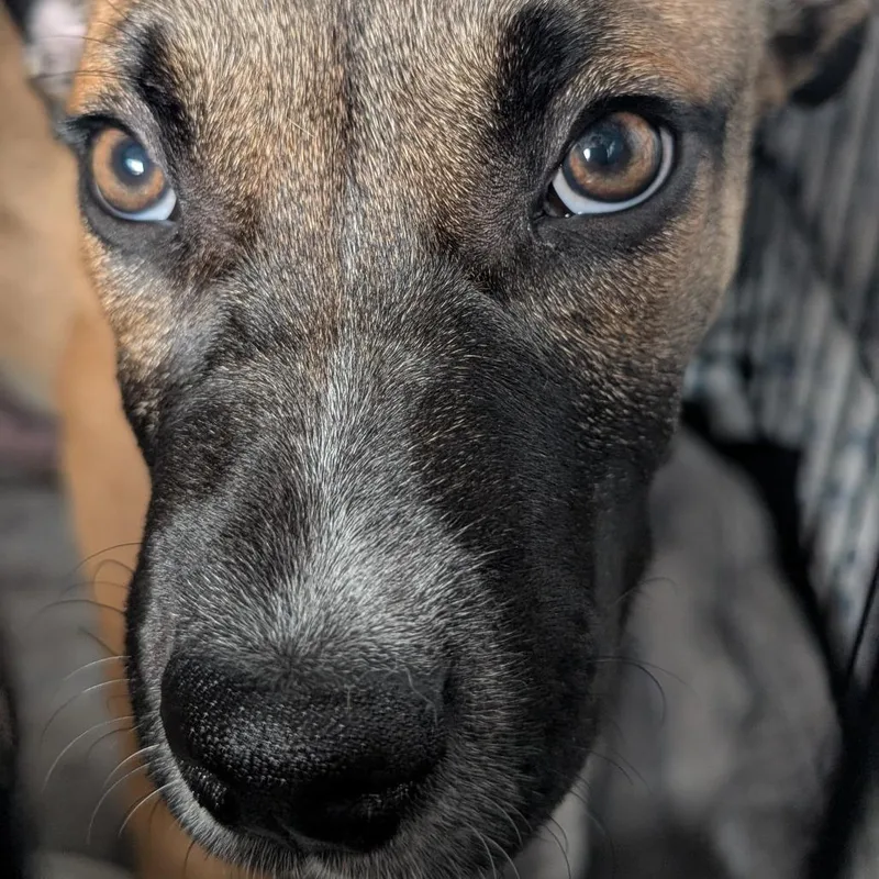 Mayweather thumbnail 6