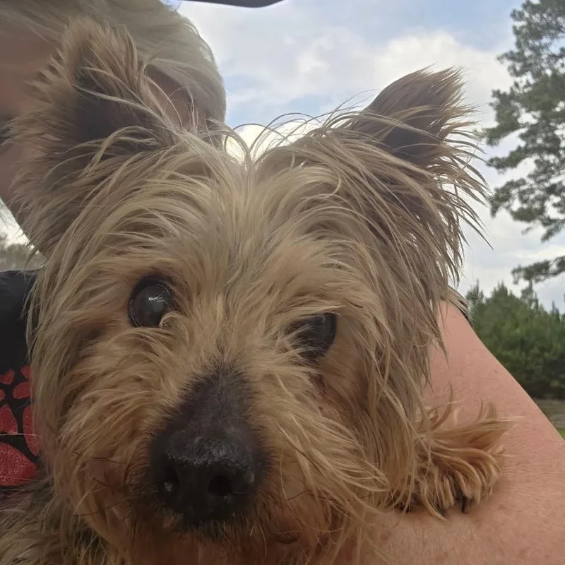 Teddy Swims thumbnail 2