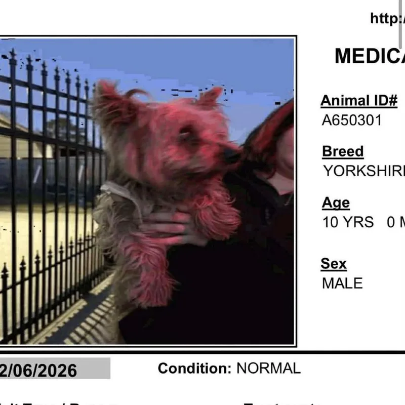 Teddy Swims thumbnail 3