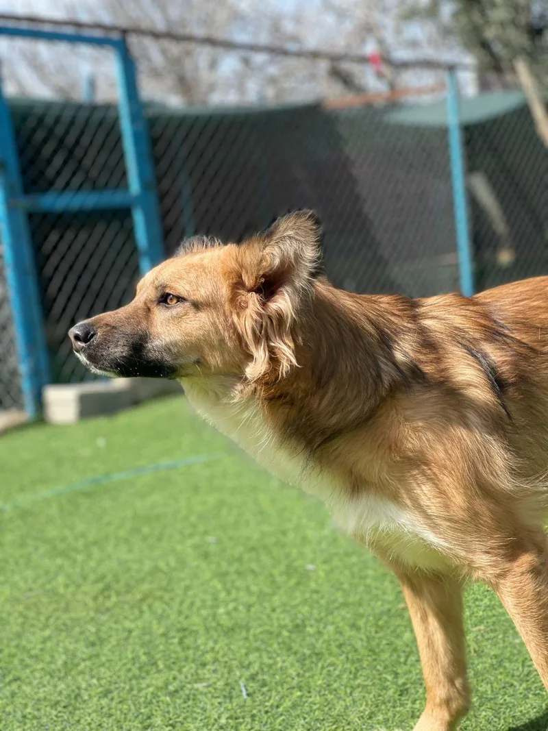 Hiba  The Special thumbnail 4