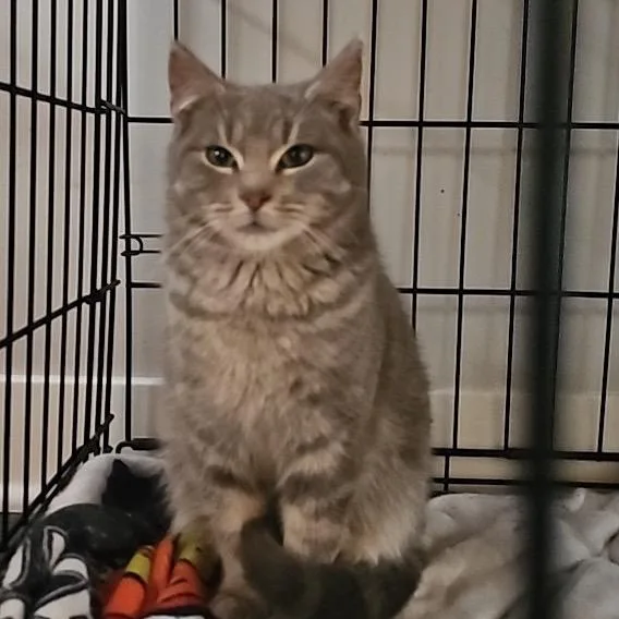 Found  Parker thumbnail 2