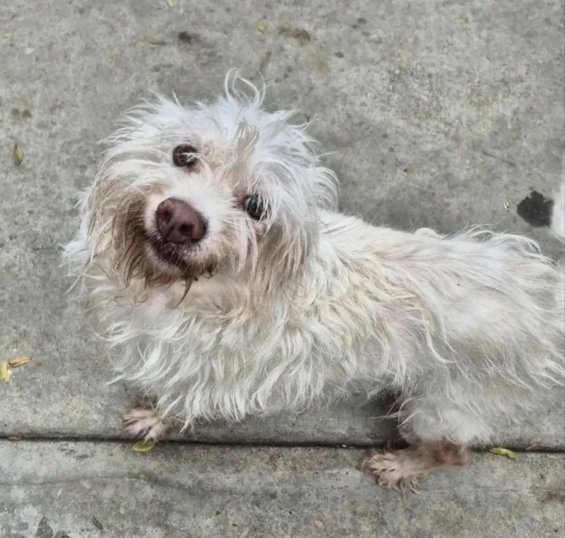 Foxtail Riley!! thumbnail 2