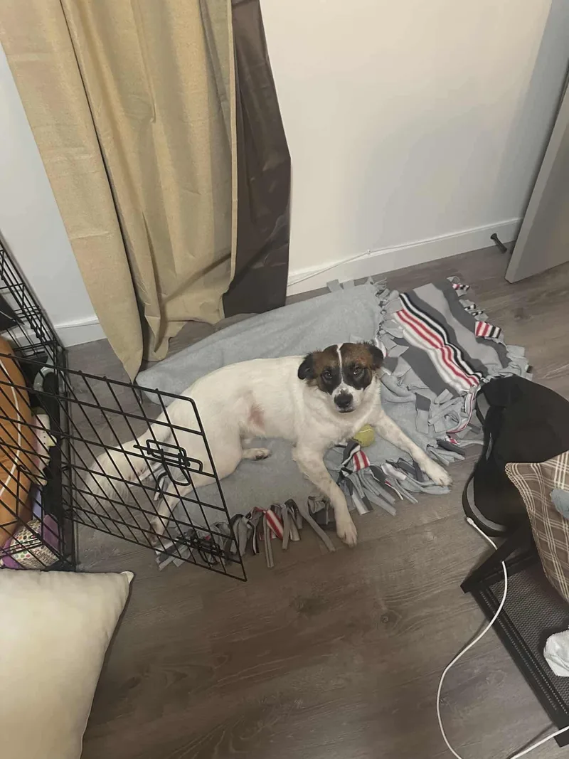 Cinnamon thumbnail 2