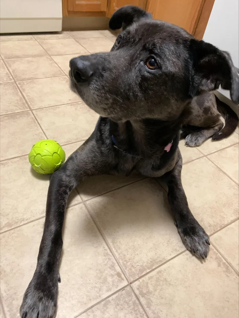 Kent  Nh thumbnail 2