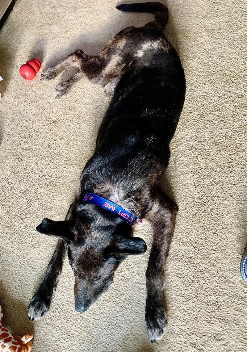 Kent  Nh thumbnail 3