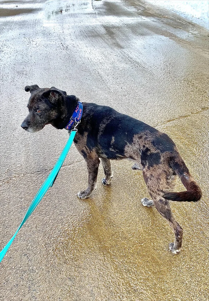 Kent  Nh thumbnail 5