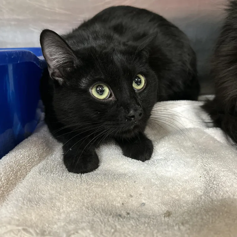 Milwaukee thumbnail 2