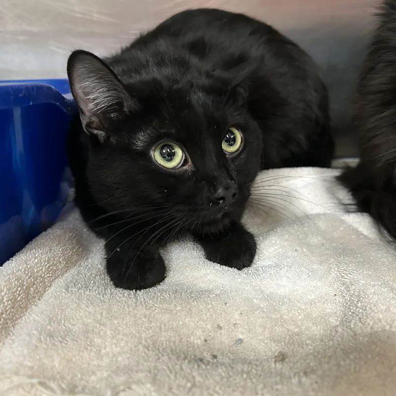 Milwaukee thumbnail 3