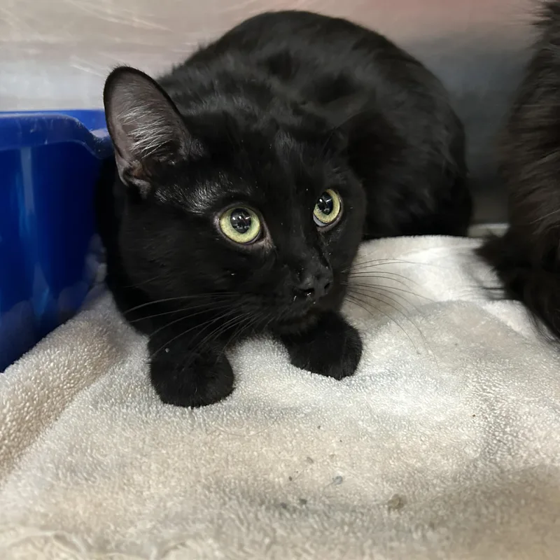 Milwaukee thumbnail 4