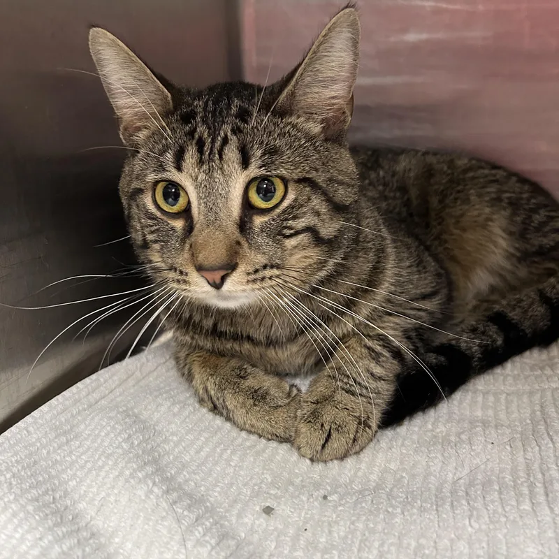 San Francisco thumbnail 2