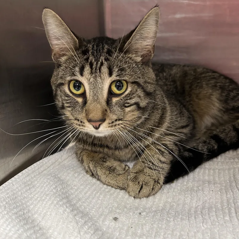 San Francisco thumbnail 3