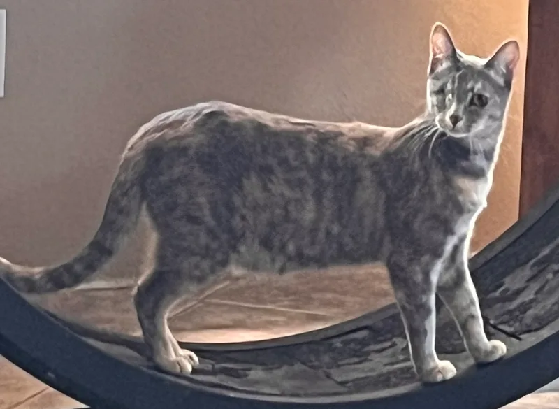 Munchies thumbnail 4