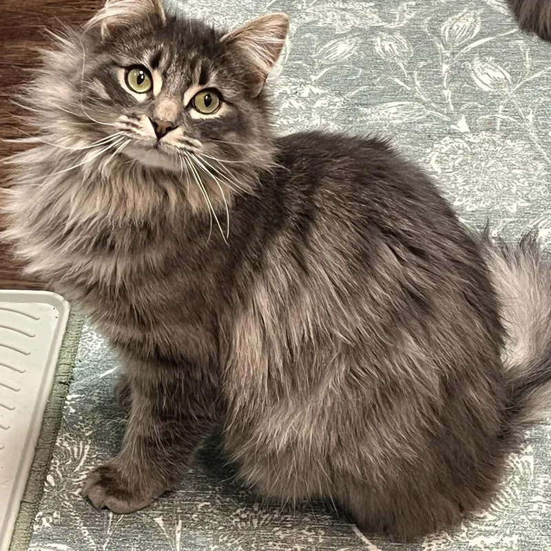 Marilyn & Monroe thumbnail 2