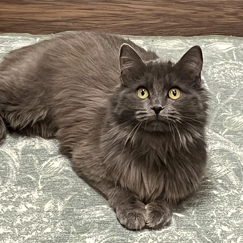 Marilyn & Monroe thumbnail 4