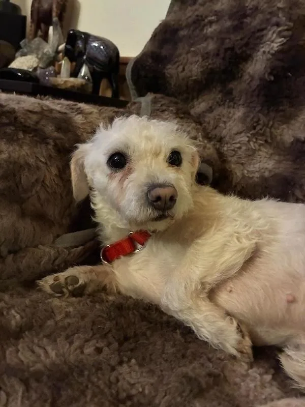 Charlotte thumbnail 3