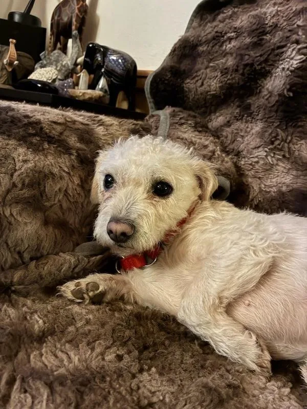 Charlotte thumbnail 4