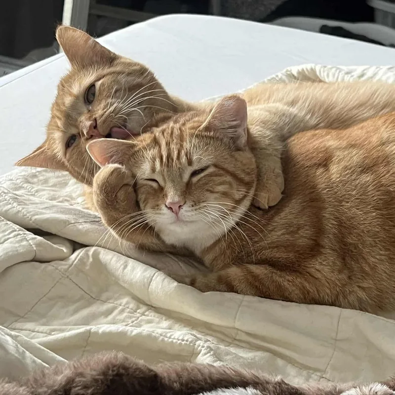 Kaia Halversen thumbnail 3