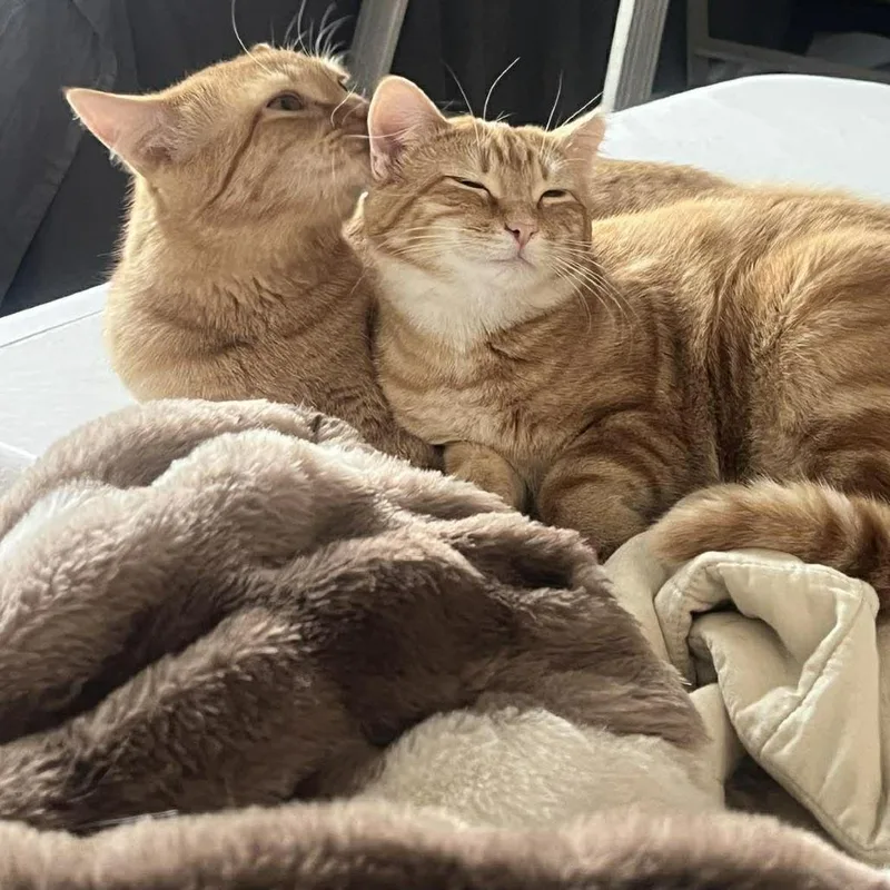 Sunny Halversen thumbnail 2