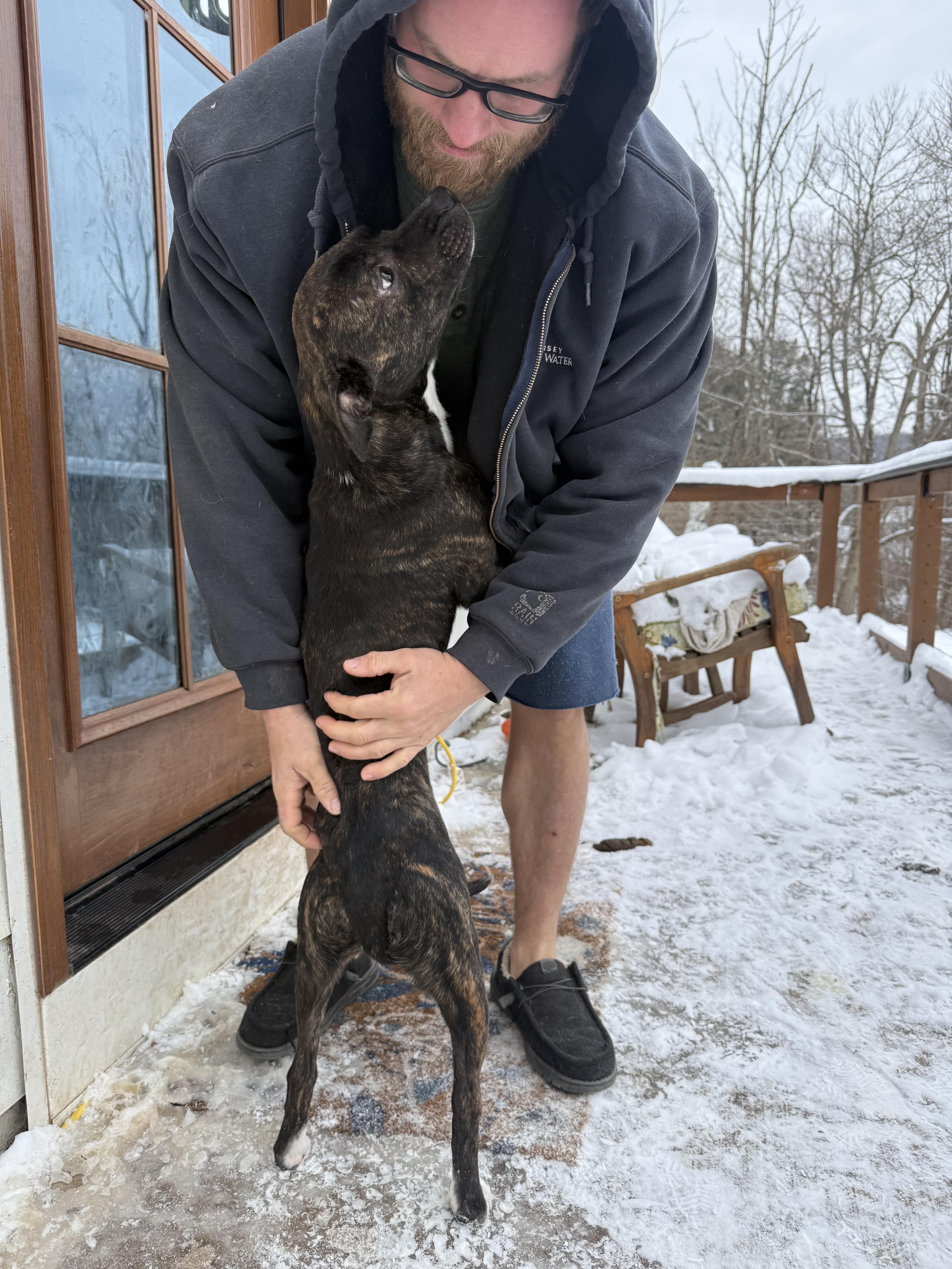 Jalapeño thumbnail 5