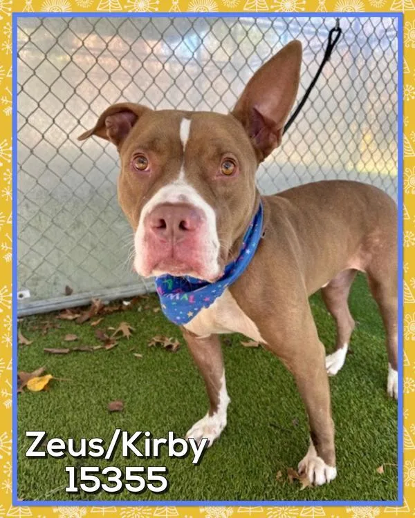 Kirby Zeus thumbnail 2