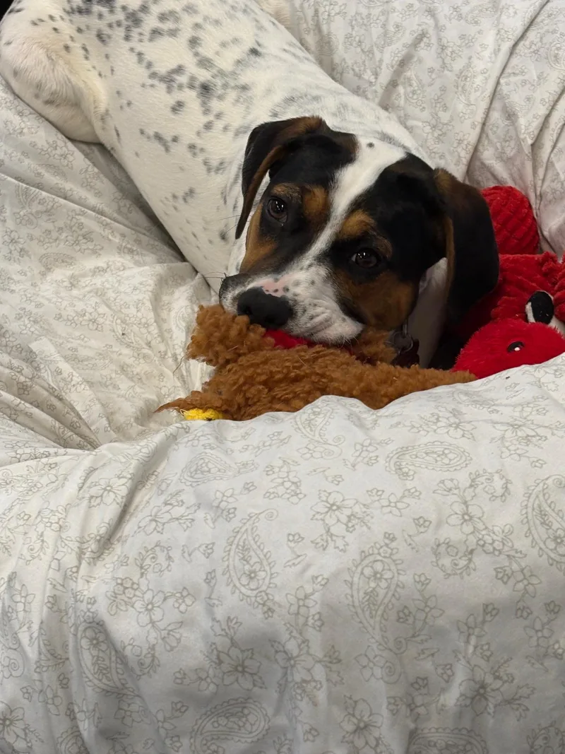 Sallie thumbnail 3