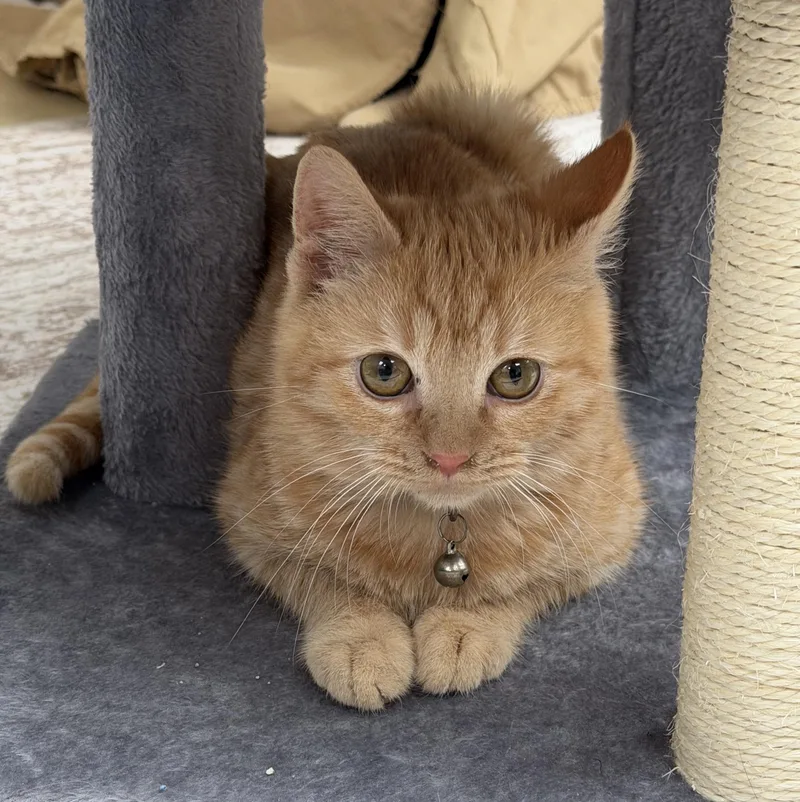 Timone And Anastasia thumbnail 4