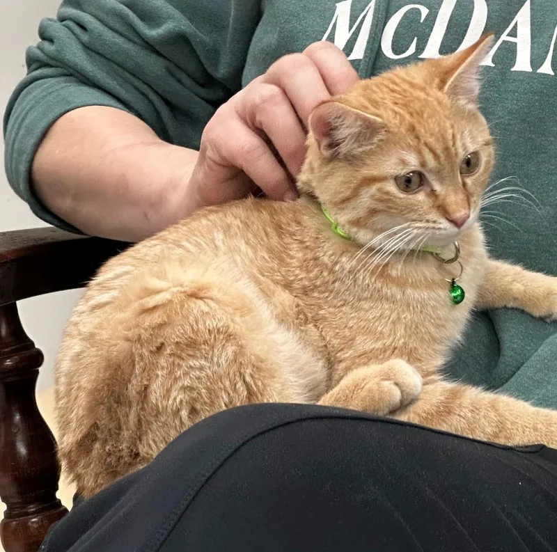 Timone And Anastasia thumbnail 5