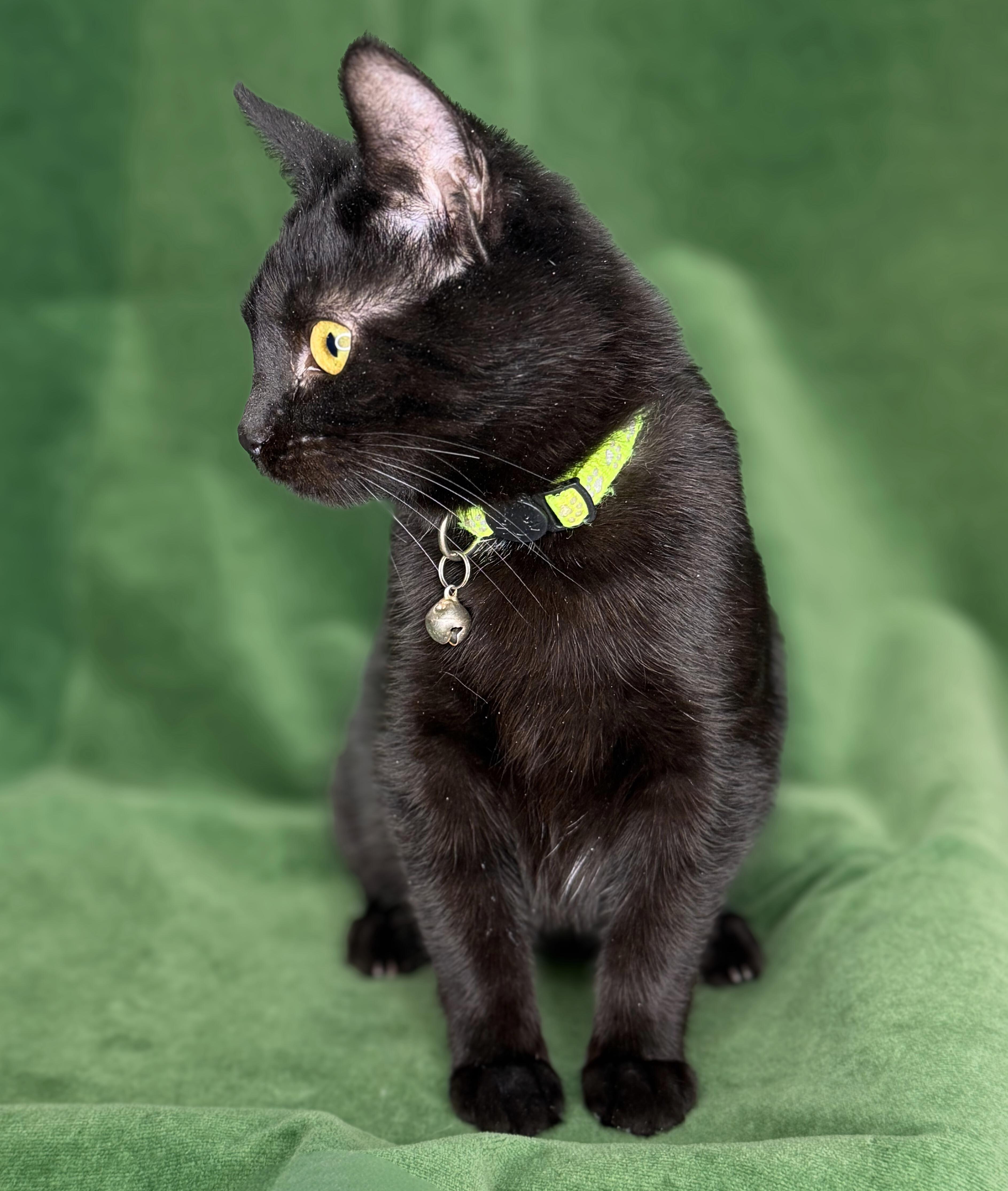 Raja And Haydeez thumbnail 3