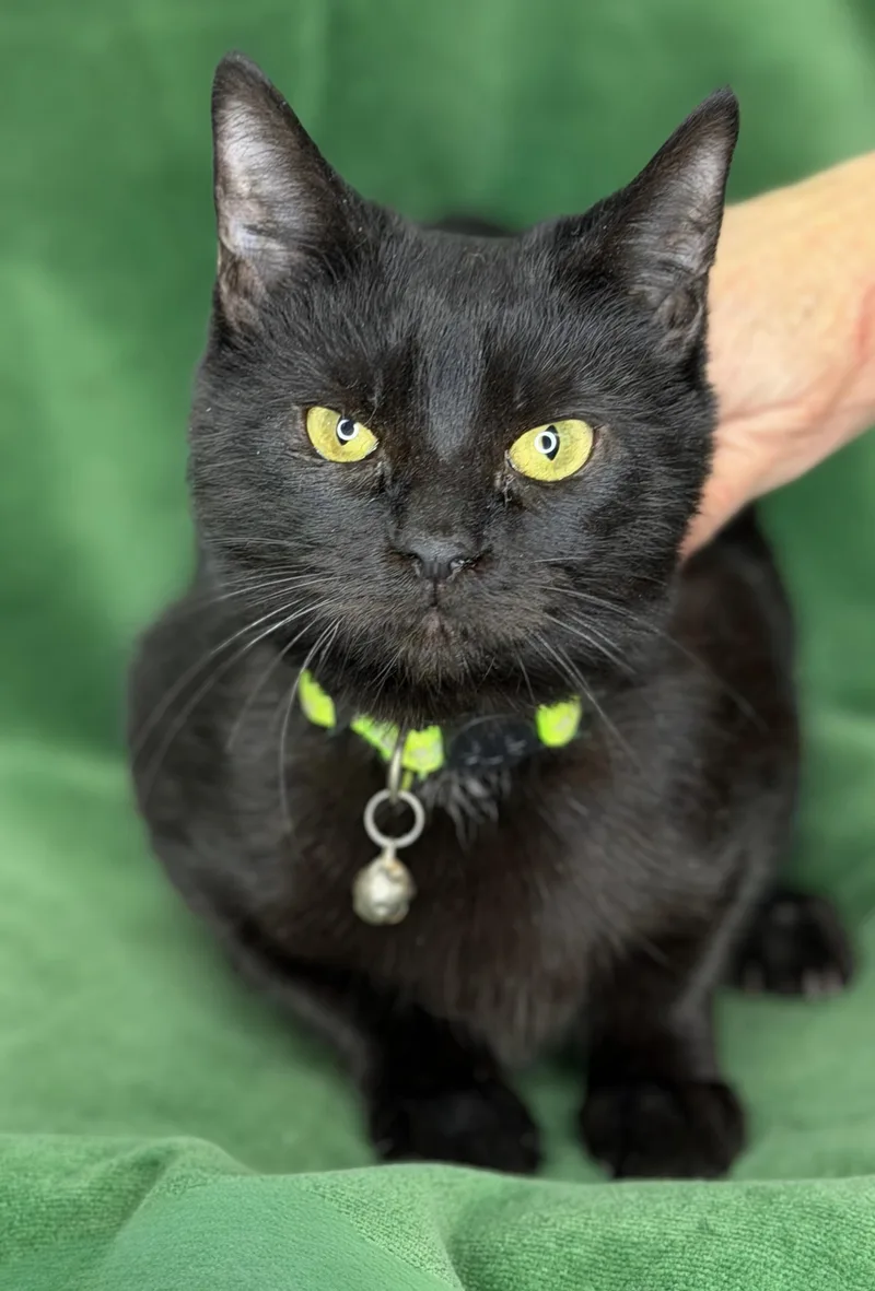 Raja And Haydeez thumbnail 6