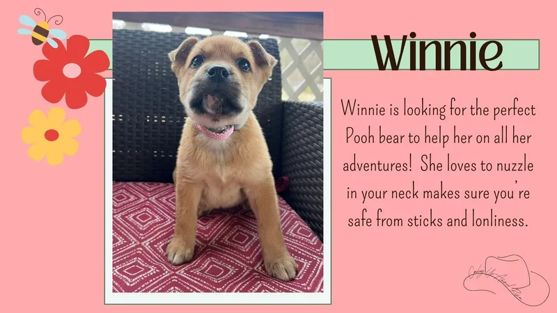Winnie