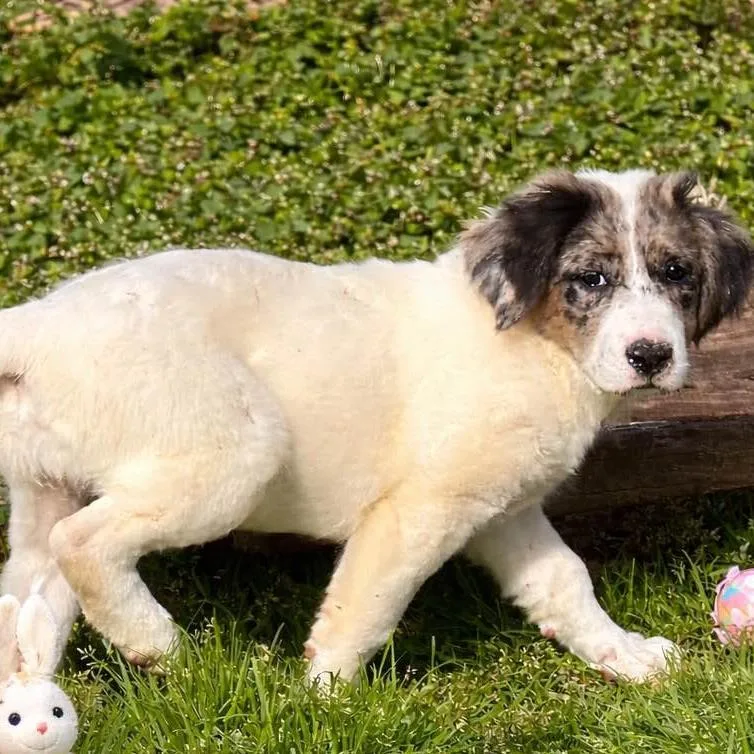 Emmaline thumbnail 2