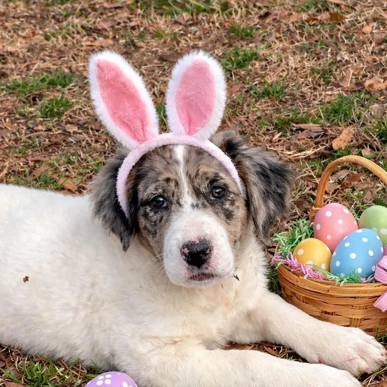 Emmaline thumbnail 3