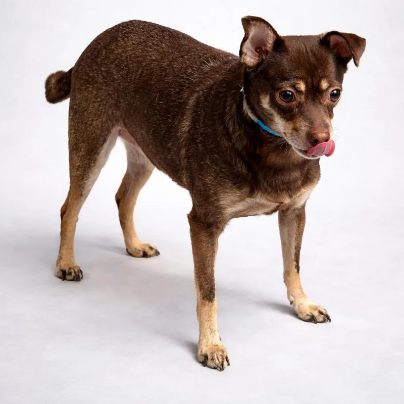 Bruno Mars thumbnail 2