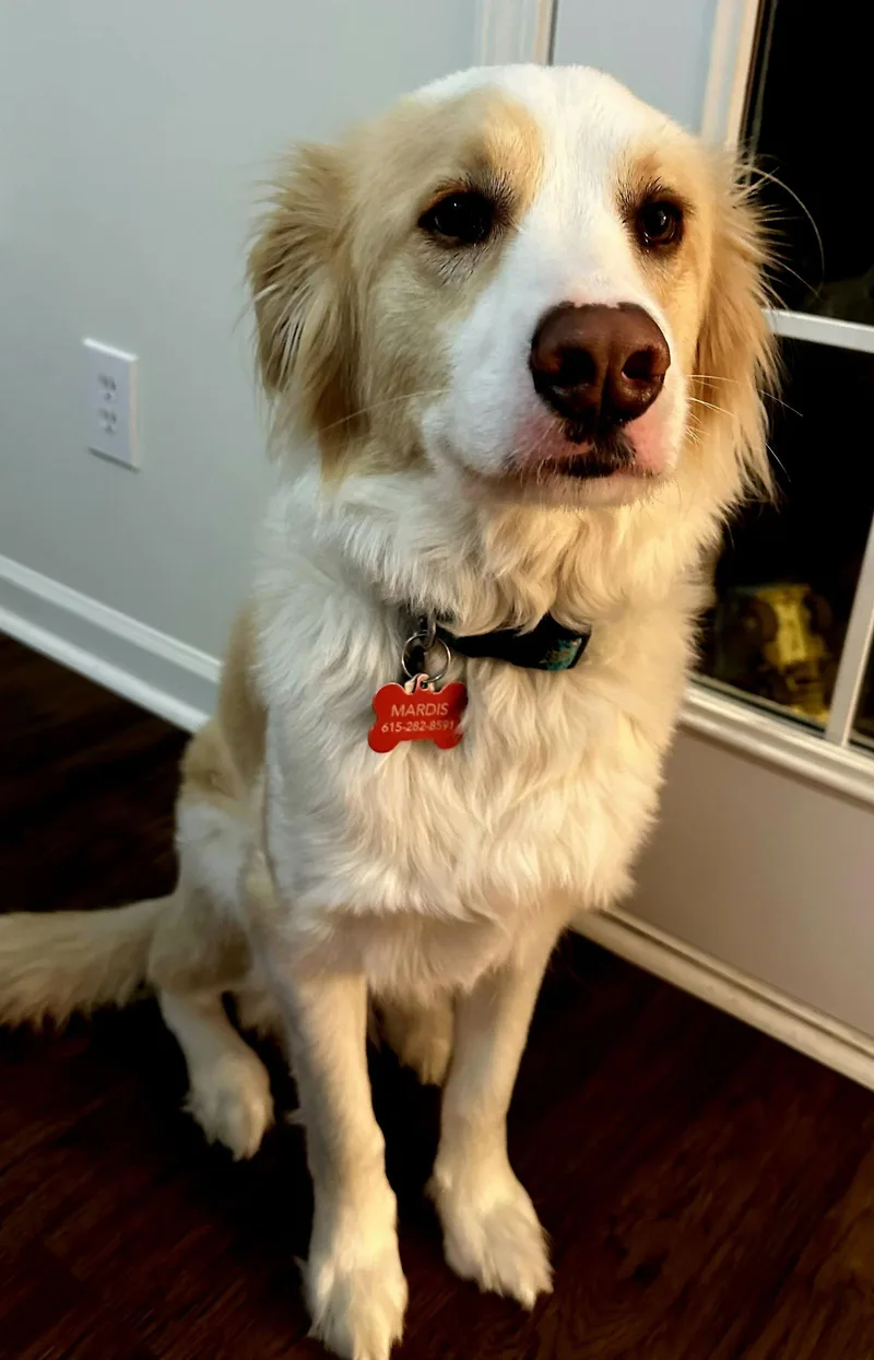 Otis  Peace & thumbnail 2