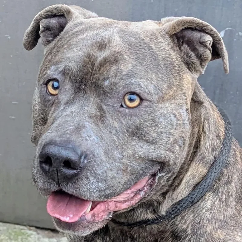 Ash ~ Coming Soon!!!