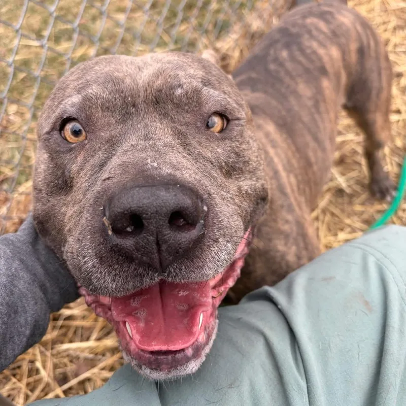 Ash ~ Coming Soon!!! thumbnail 3