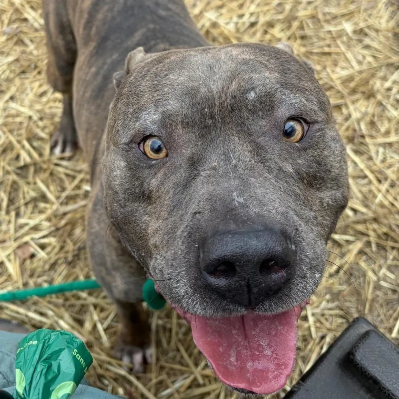 Ash ~ Coming Soon!!! thumbnail 4