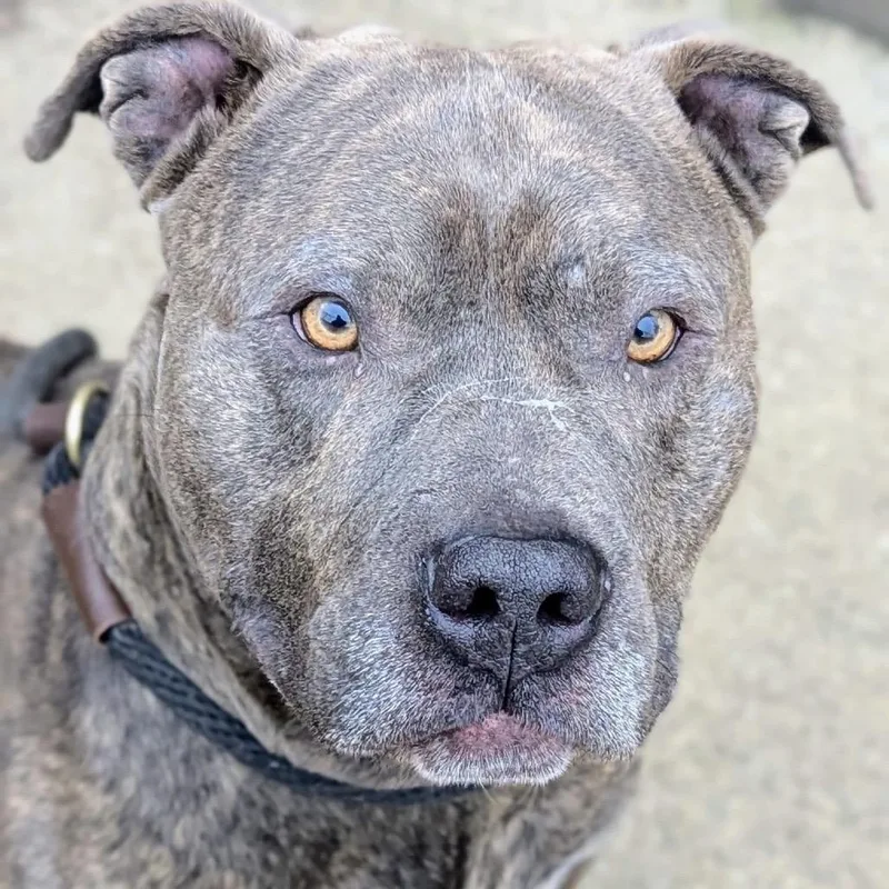 Ash ~ Coming Soon!!! thumbnail 5